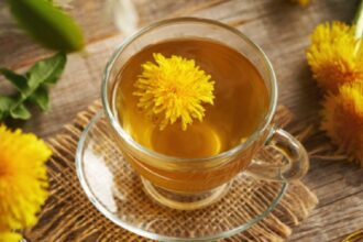 Dandelion tea helps with weight loss: Myth or fact?