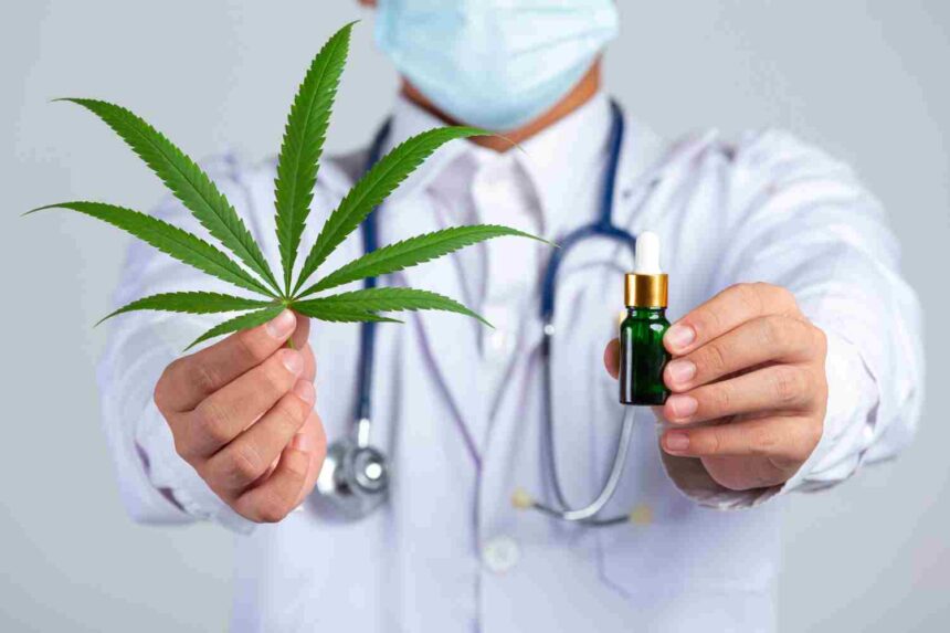 Cannabis Legalization
