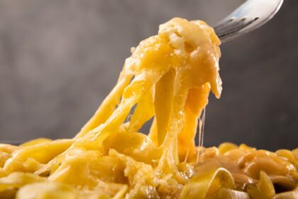 Eating too much cheese? Study links it to colon cancer, nutritionist shares the risks
