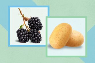 Blackberries and Potatoes Added to ‘Dirty Dozen’ Pesticide-Residue List