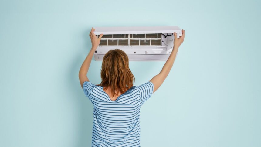 Should You Worry About Mold in Your Air Conditioner?