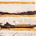 Protein Frozen S’mores (Viral Recipe)