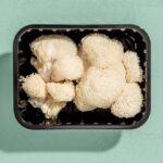 7 Potential Health Benefits of Lion’s Mane Mushrooms