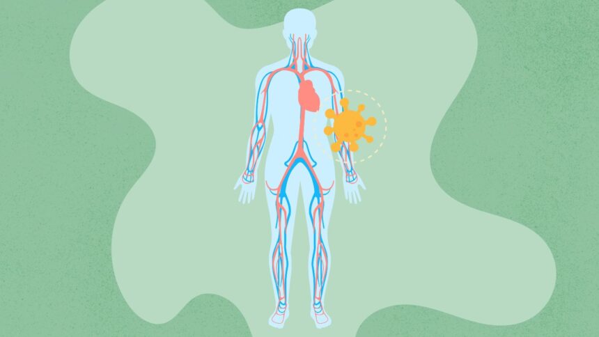COVID-19 May Accelerate Blood Vessel Aging, Especially in Women