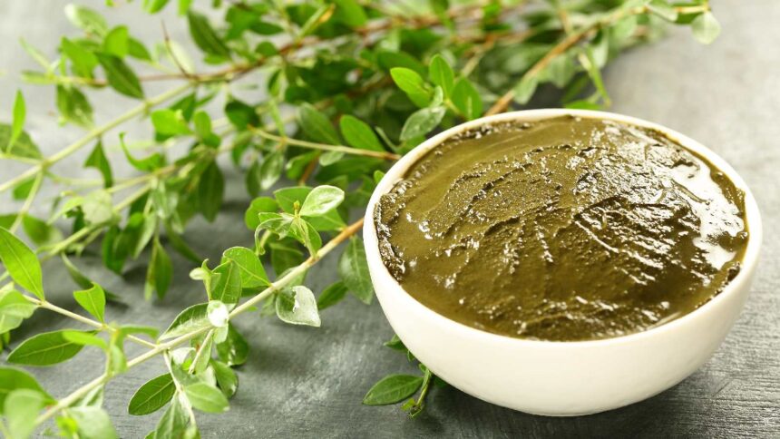 Henna cream: Expert-recommended monsoon must-have for hair nourishment and natural shine