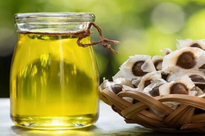 Can moringa oil boost hair growth? Know its 5 benefits for your hair and scalp health